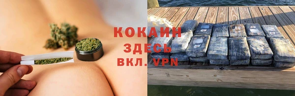 мдпв Гусь-Хрустальный