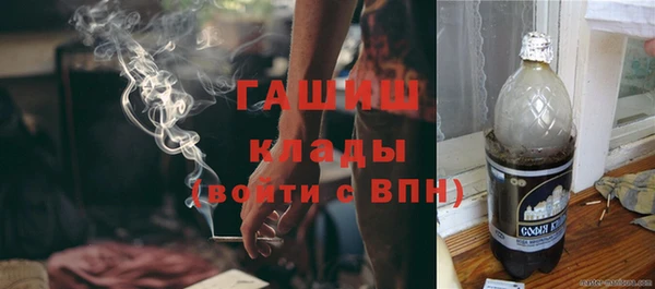 мдпв Гусь-Хрустальный