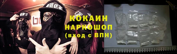 мдпв Гусь-Хрустальный