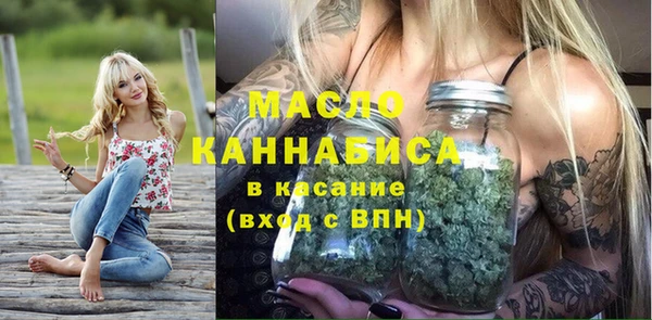 мдпв Гусь-Хрустальный