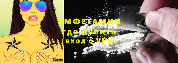 мдпв Гусь-Хрустальный