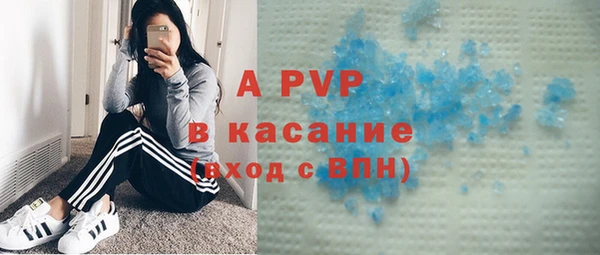 мдпв Гусь-Хрустальный
